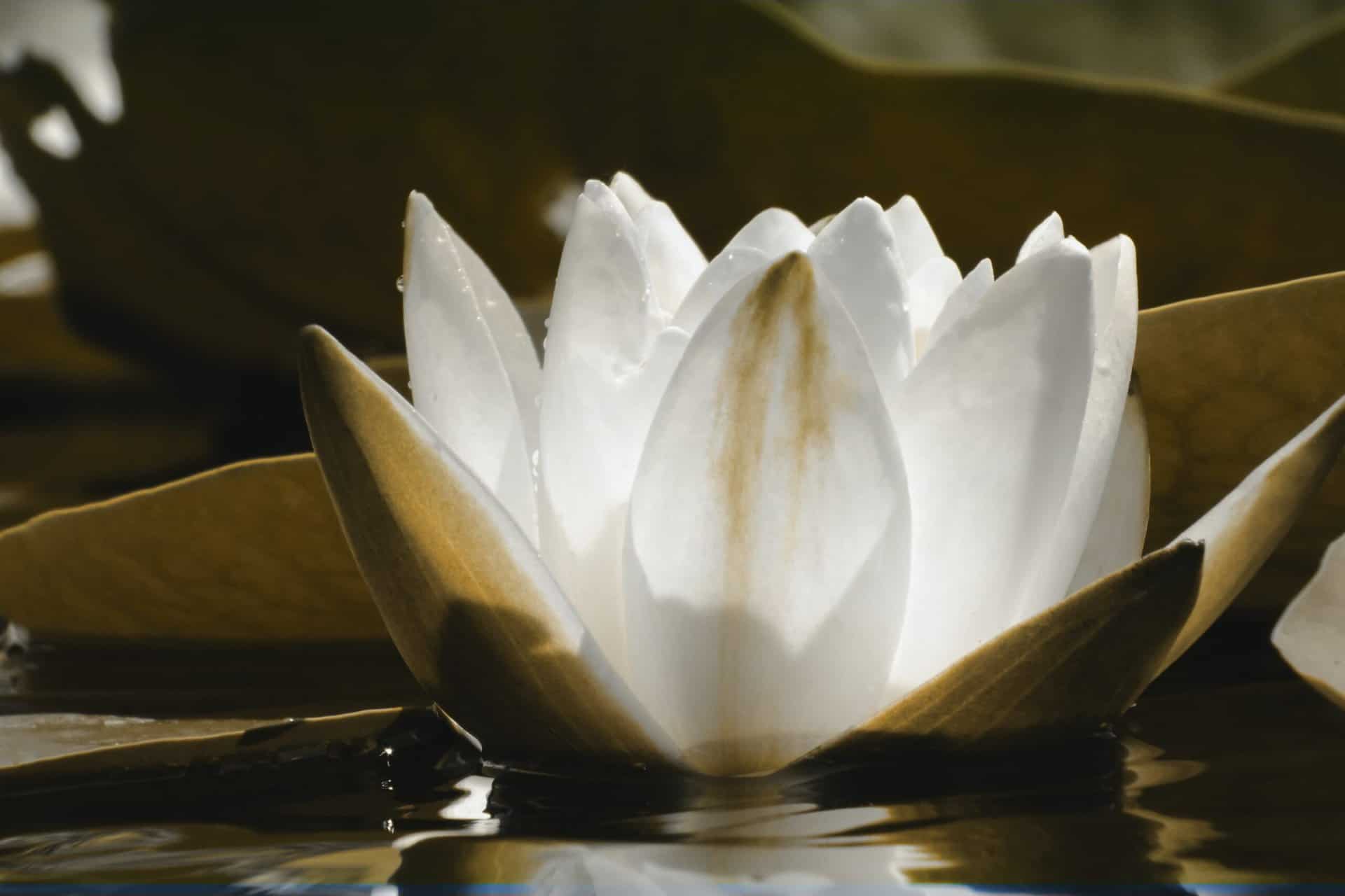 What Happens at Your First Gnosis Class in Ballston Spa?